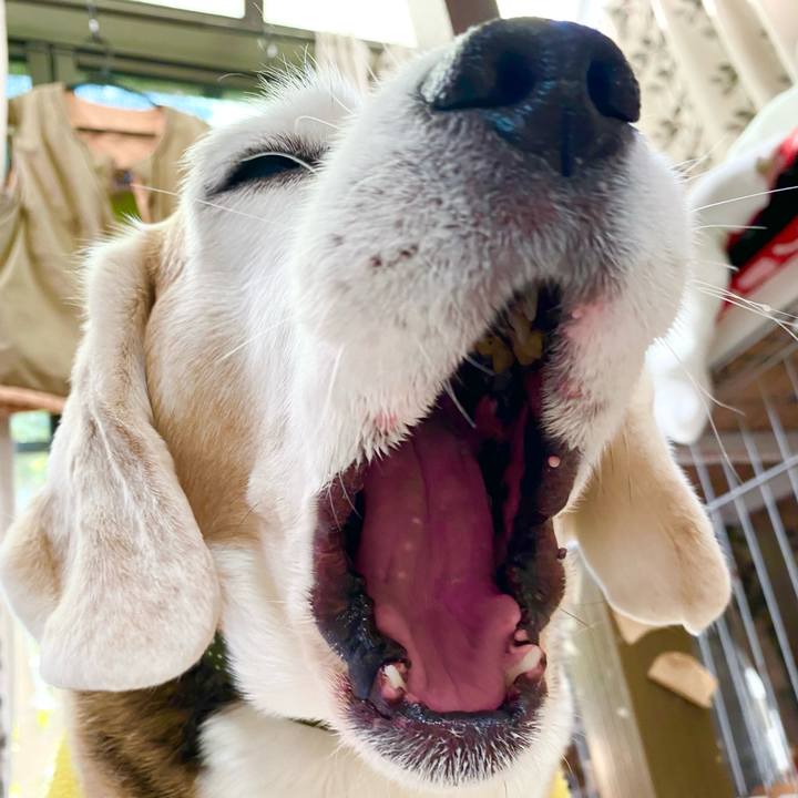 A3565c93 2689 4b00 b6b5 52f0b8dc8a0a 1644045495103