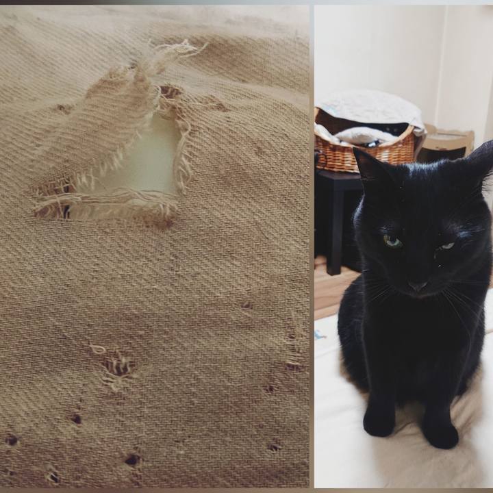 A356fbf6 54f0 46e2 9f77 b0e8281500c6 1634990264282