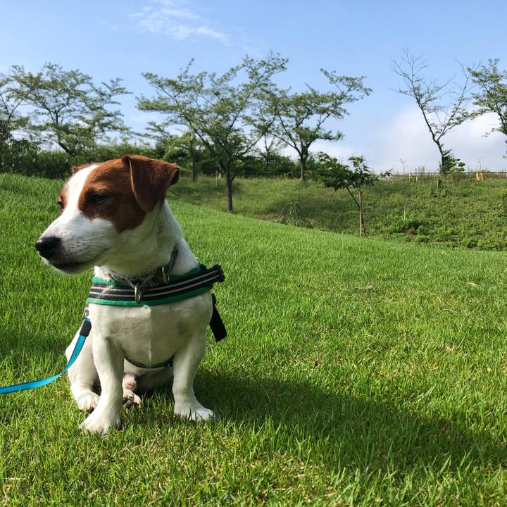 A3572775 b287 46ce a642 246d53eccafd 1562665627038