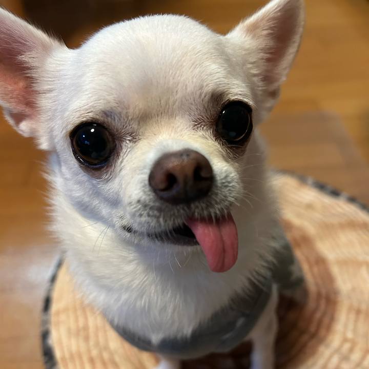 A3576526 2446 45b8 ae4f ff0f52cec02d 1762055787682