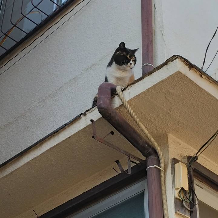 A3576a80 8e44 46b1 9be6 f5d49663c3e3 1710901325669