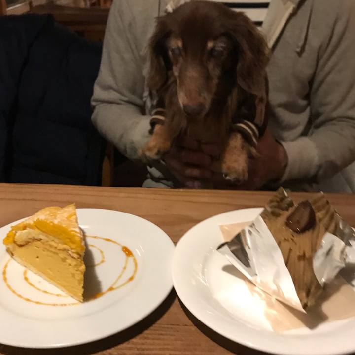 A3576b36 1152 45a3 a4b9 37bb3747c4ae 1576019984110