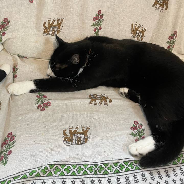 A35780e4 d221 4c95 9f62 5f172e4388bb 1661384130328