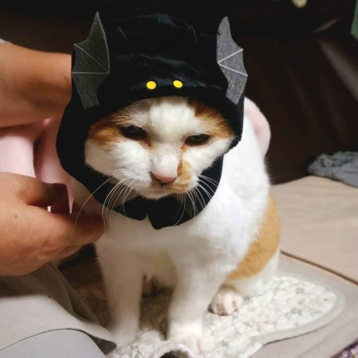 A35793c7 89c4 40a9 a5c2 c618e10df234 1698494216065