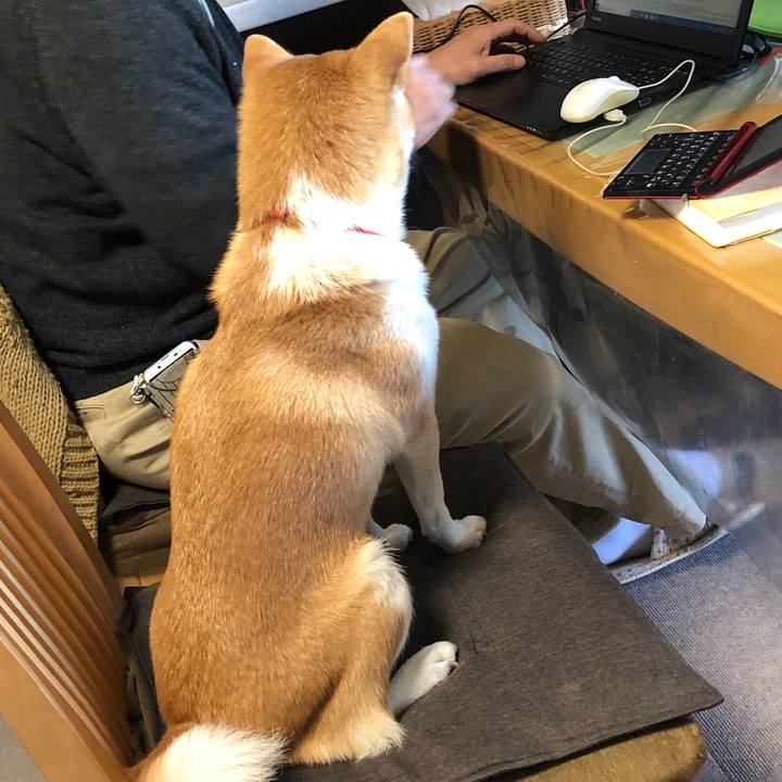 A357995d 4437 4cb4 9ced fe6ec40bb333 1575420258118