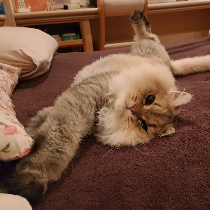 A35799ec 60fe 4eac 9711 dbcfe42226d3 1602549805147