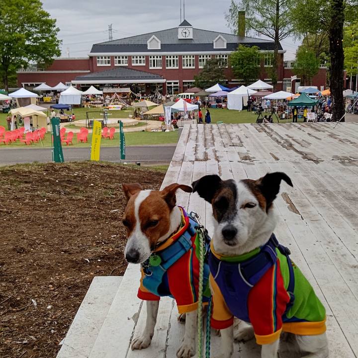 A3579d41 646e 49a3 a489 1d9e0388c9b4 1650760107954