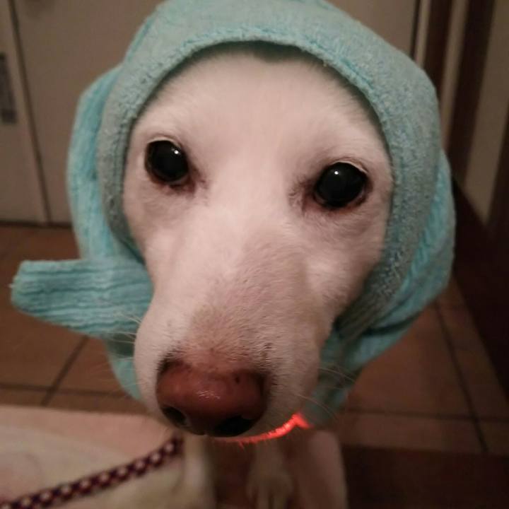 A357a803 5b3c 4dbc 859c 5ed78c8a726f 1607765853067