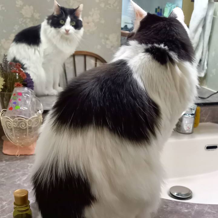 A357bb99 a744 4e71 aed6 33d085dc204e 1634983125821