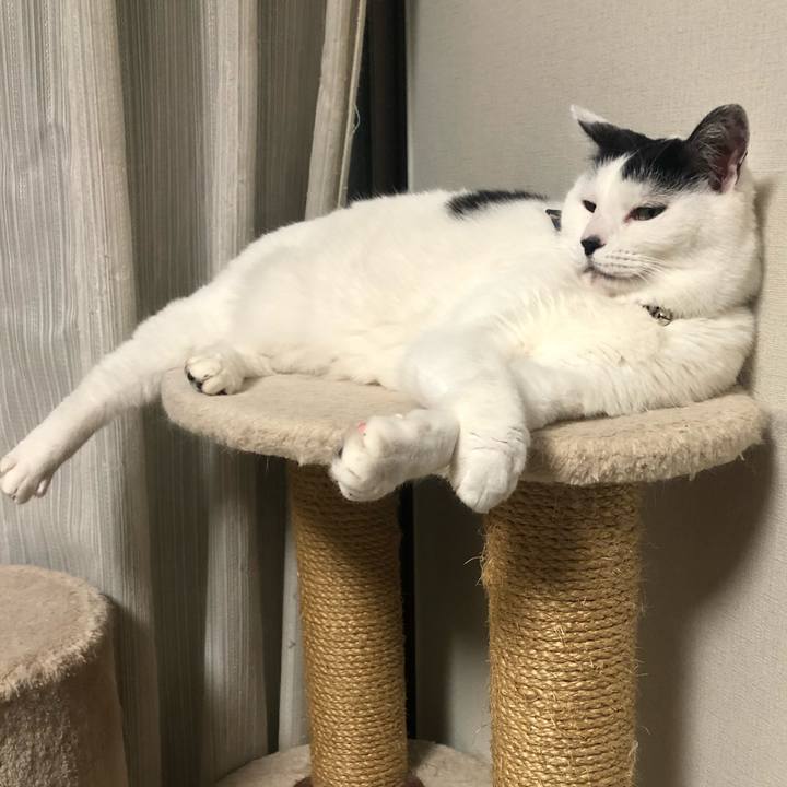 A357e0cf adab 413d b7d7 b019cba25d40 1578740931063