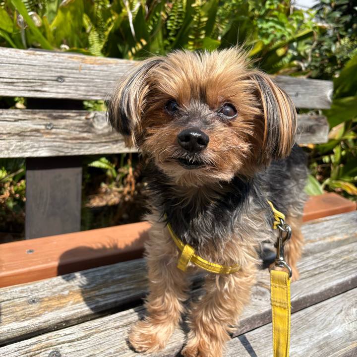 A357e38b 180d 449a 91f4 c3269357a105 1744421766624