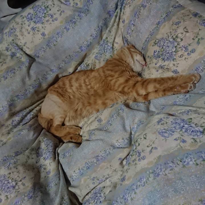 A357ed73 e0a6 43c0 a5d4 e74b3f853442 1654952892971