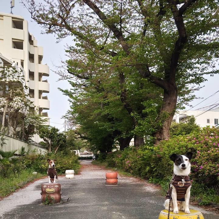 A357f8ad 6ed9 48ca b647 e4189ec812d6 1744925738203