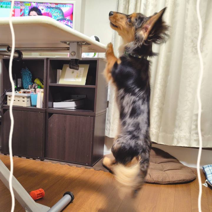 A3580492 f8f0 4ac9 b4bc a289c45d11c7 1724242305822