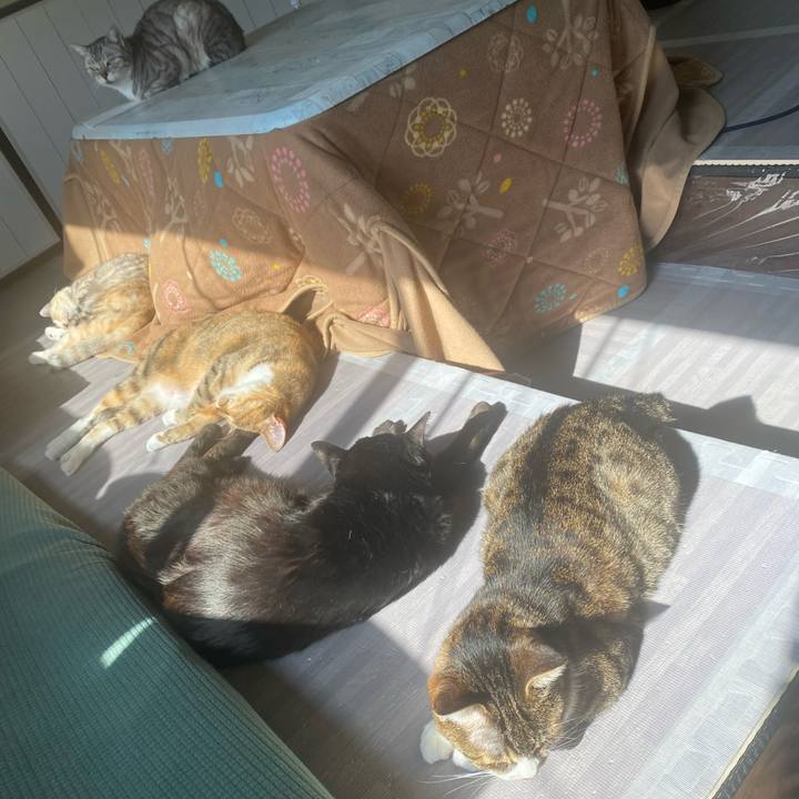 A3580654 1800 49d1 83d4 52a46700b732 1613181749008