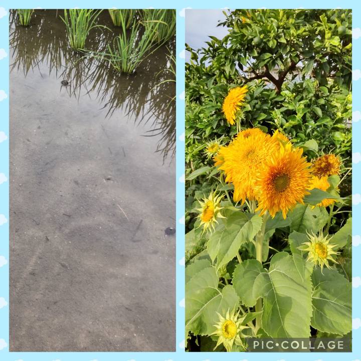 A358354d aab4 414a 88fd 50236f181d2a 1752186902429