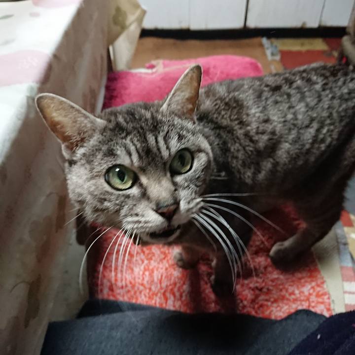 A3583615 01e1 479a b82c b88ce53ac26f 1556919248752