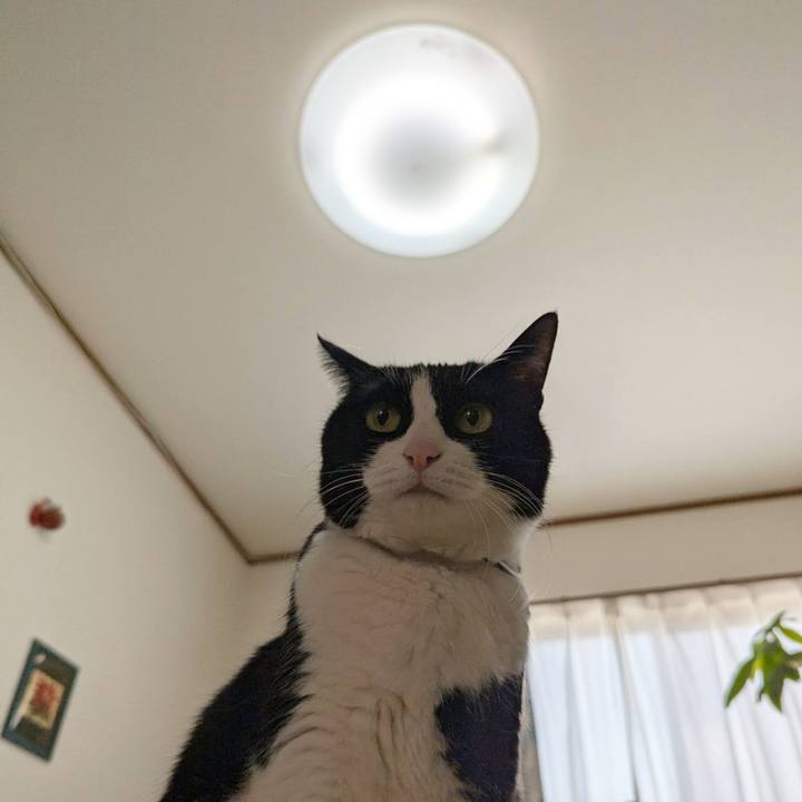 A3586278 3f4b 47c7 85c3 d28939c65cf8 1773015985421