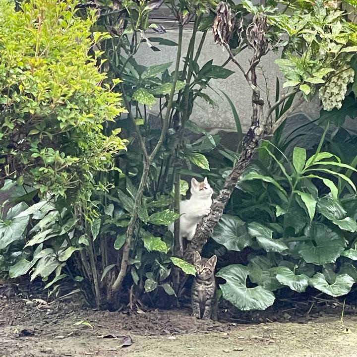 A358910c ccfc 41c6 8aaf cab5b7ecda78 1625005563981