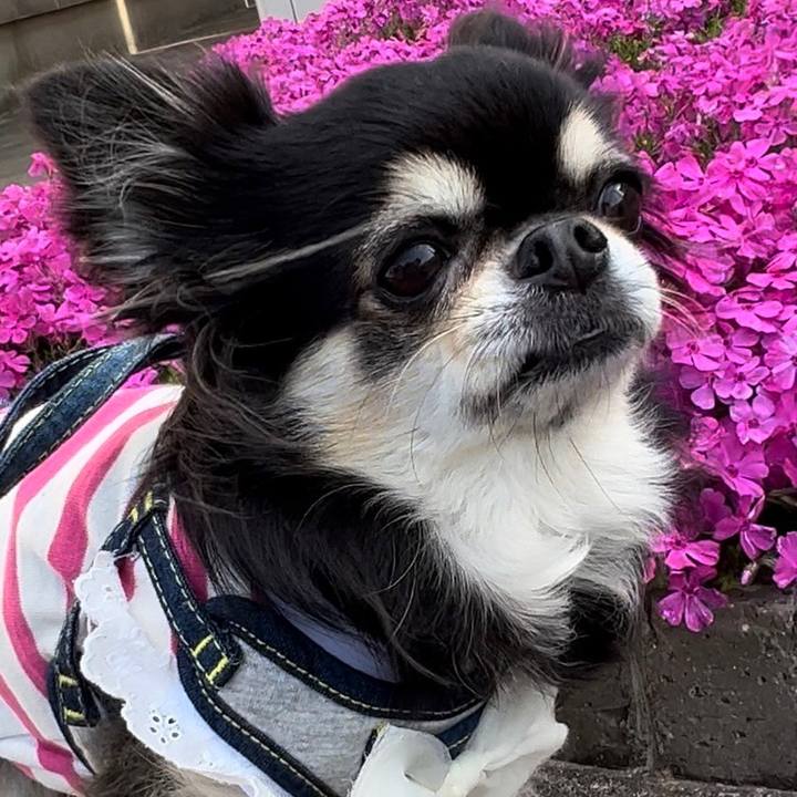 A35899fb 1dfa 4bf2 8159 ee4eb4202eab 1681770625899