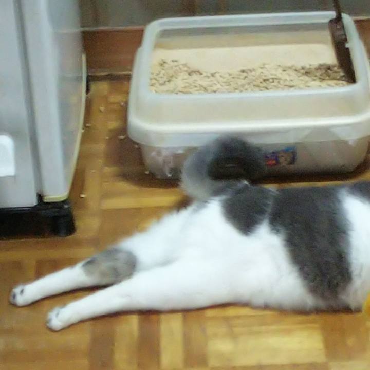 A358c16e a63a 4bf3 b67a 1bb3babfd77e 1559566194887