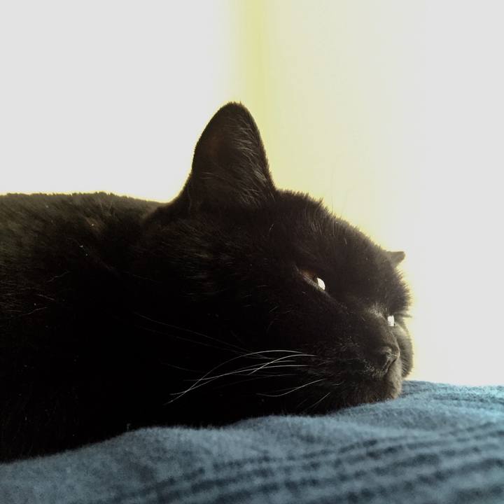 A358ef7f 5e22 4348 a29c 4ec5edbb27d0 1588321241473