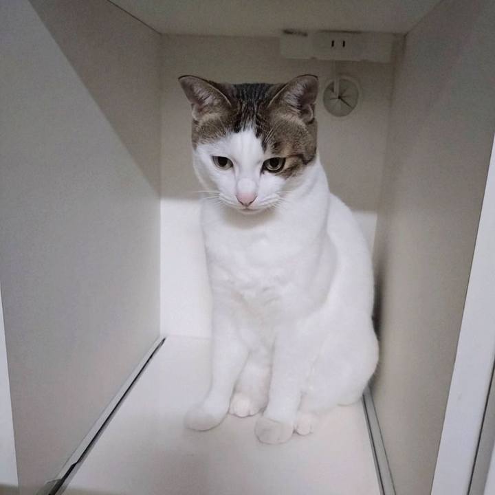 A35911c7 b64c 4df3 8102 617c80aa6752 1760525751701