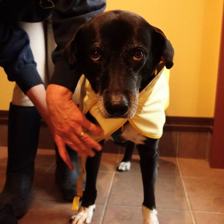 A3591d50 5c71 48c1 b3ee a6e5735a0436 1746488974832