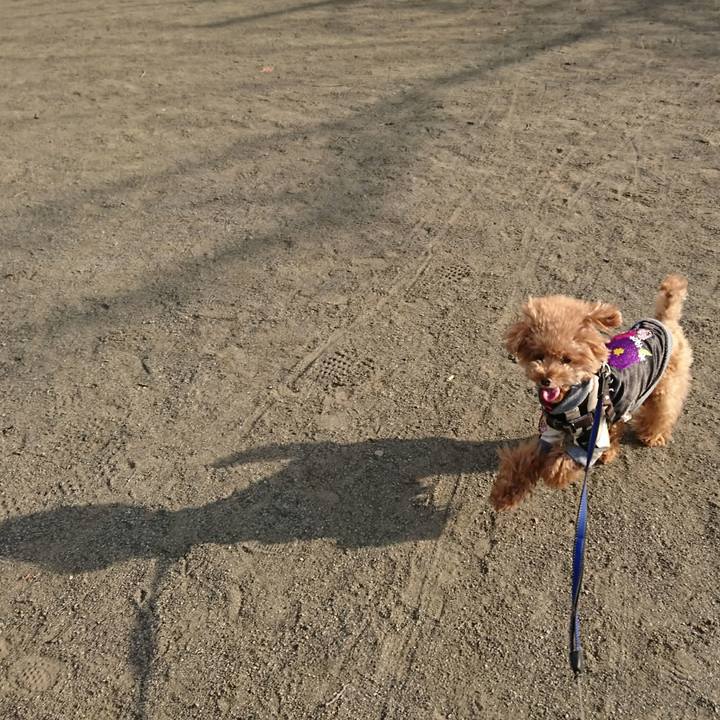 A3593c09 bdac 4dda b27a 79e5ee9caf7c 1518229925313