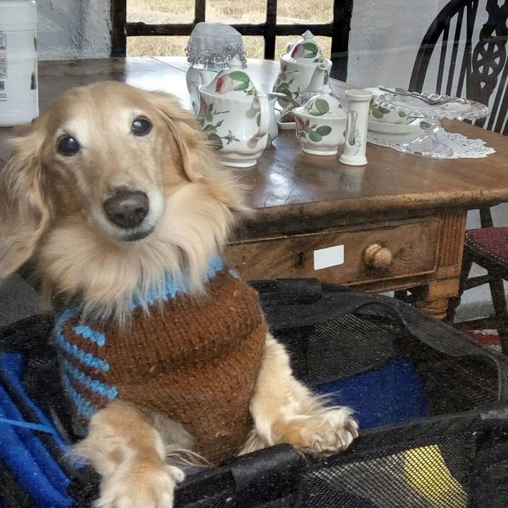 A35940a8 c500 495a b34a 0ce0b1d209ca 1553438361569