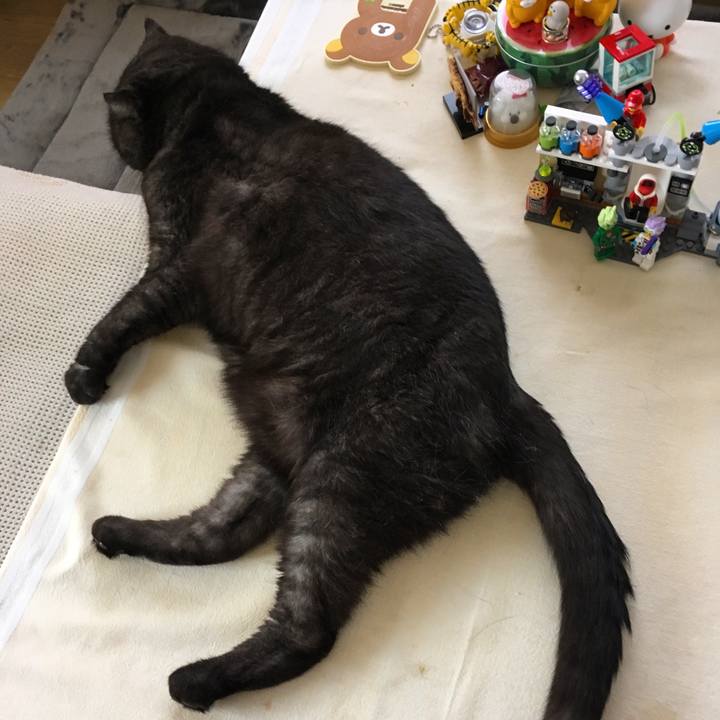 A359ac92 669b 496b 8184 5270e02ea0d2 1565836194539