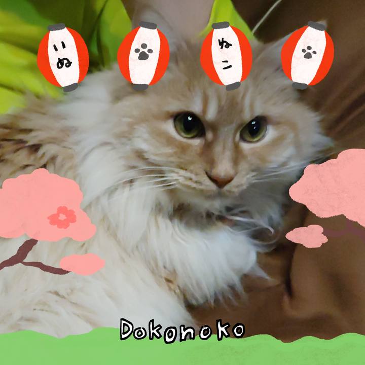 A35a4bfe 38a5 45f4 9a73 496887c6d146 1712237117308