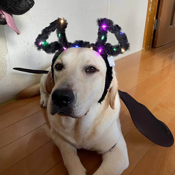 A35a7908 984d 4491 a0db ca9c8bd1a2c1 1631960820339