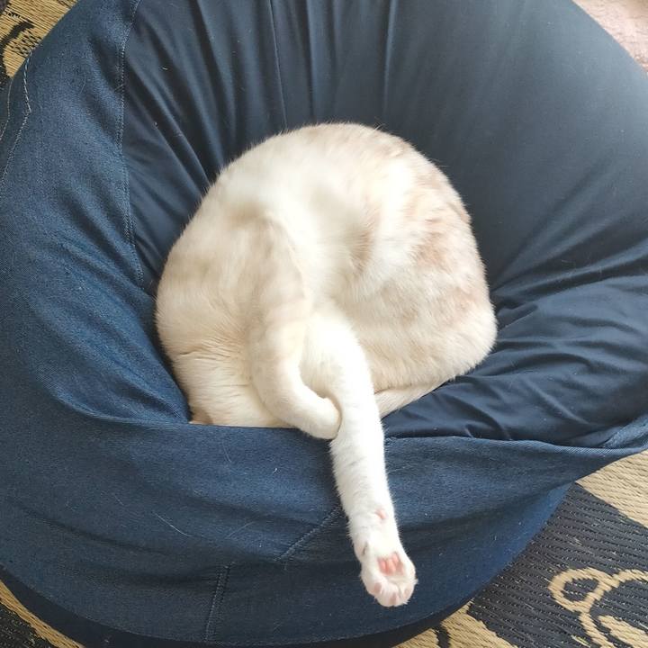 A35aa6ad 8af1 49d8 94eb 9afba3cc1cdd 1652171427662