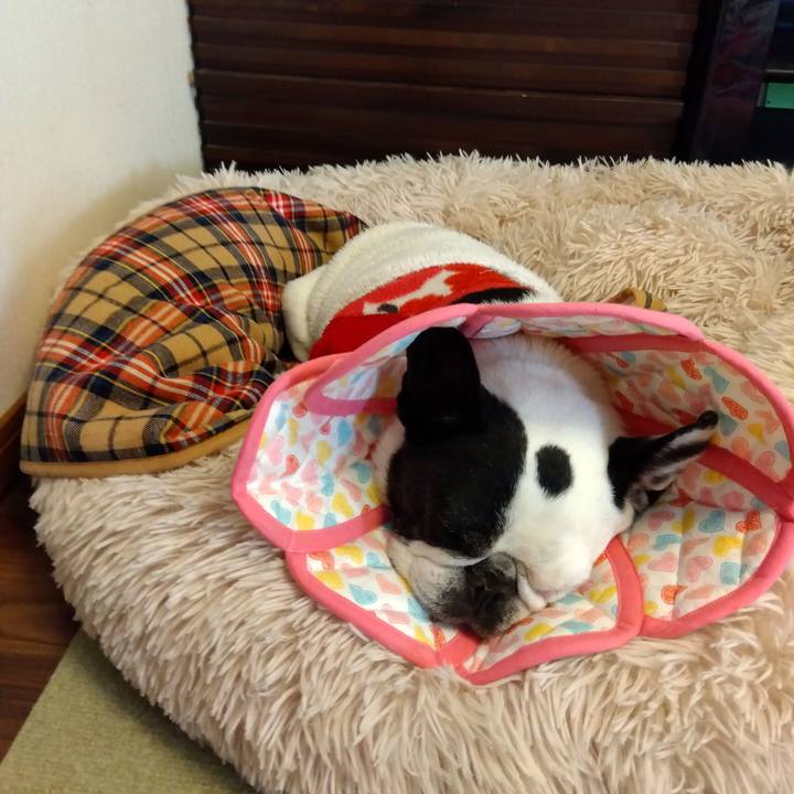 A35ae41b 9e85 4b09 a896 376fec6c88ad 1701485954392