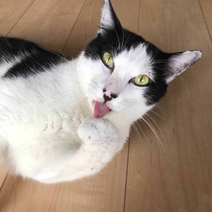 A35b2016 c416 4ab8 acce 21c90b89b59d 1565524492975