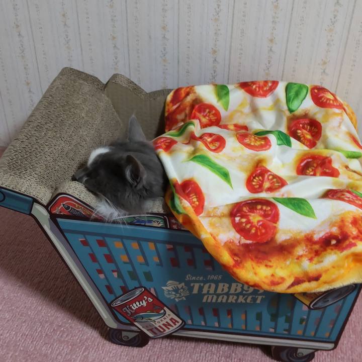 A35b294c 79f4 4a8d 83d9 51be6ab57f06 1642507276167