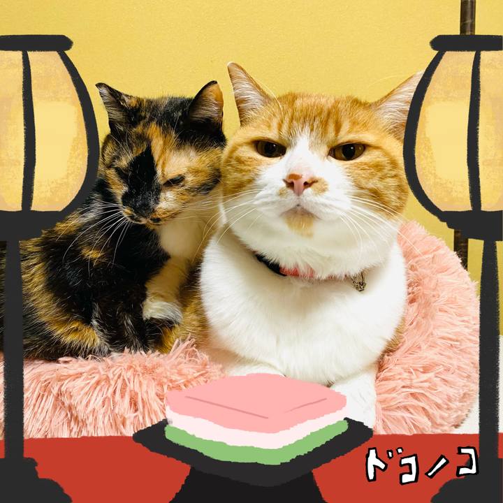 A35b6bed d787 4c73 99b7 c4e57e0d6601 1741185322624