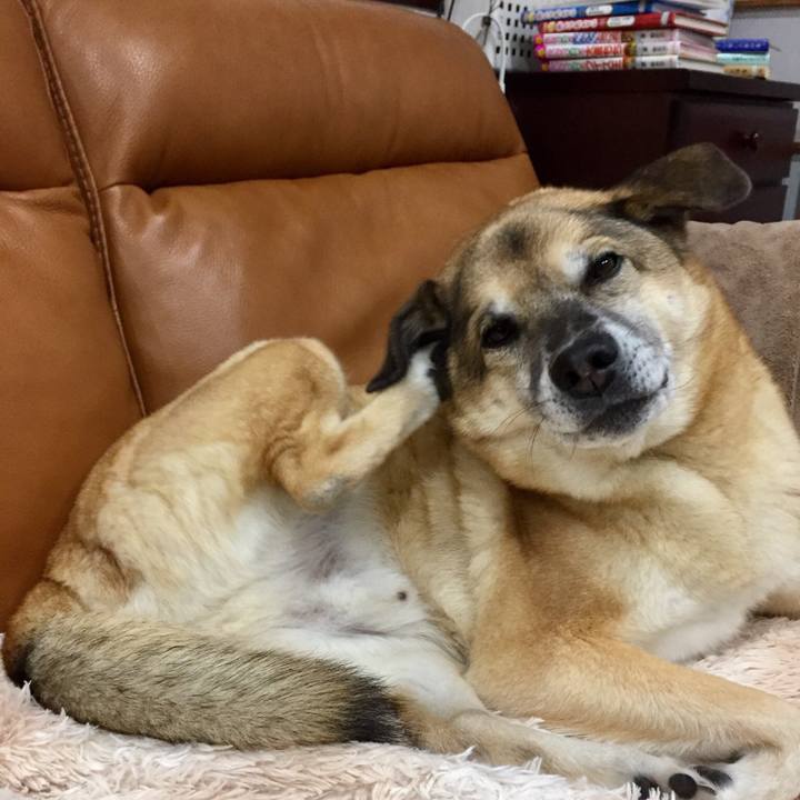 A35b9590 82a7 4908 b469 04818d8605e8 1545569201664