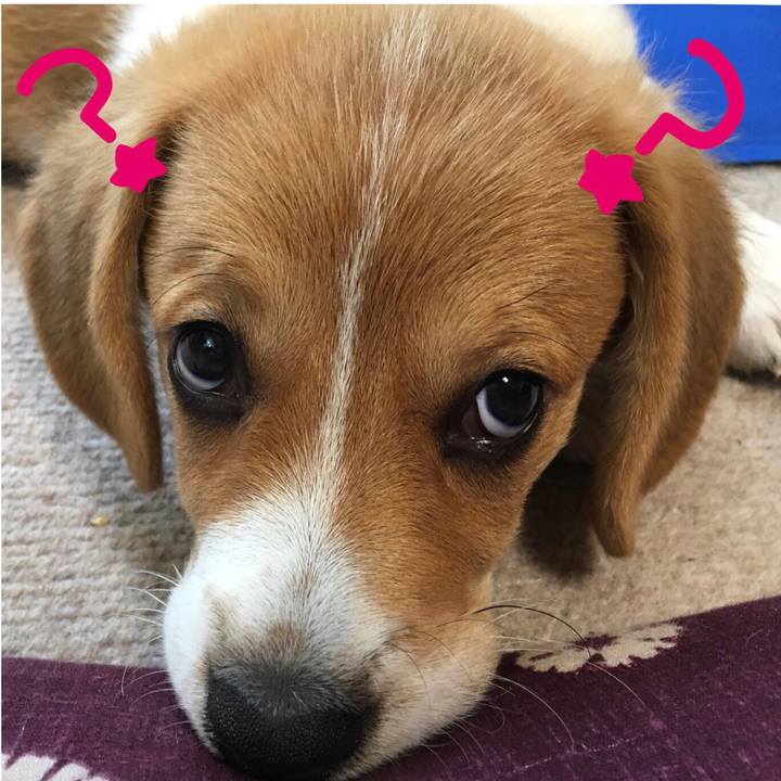 A35badbb ee42 4c4b 9cee a7aaf8888508 1610076084292