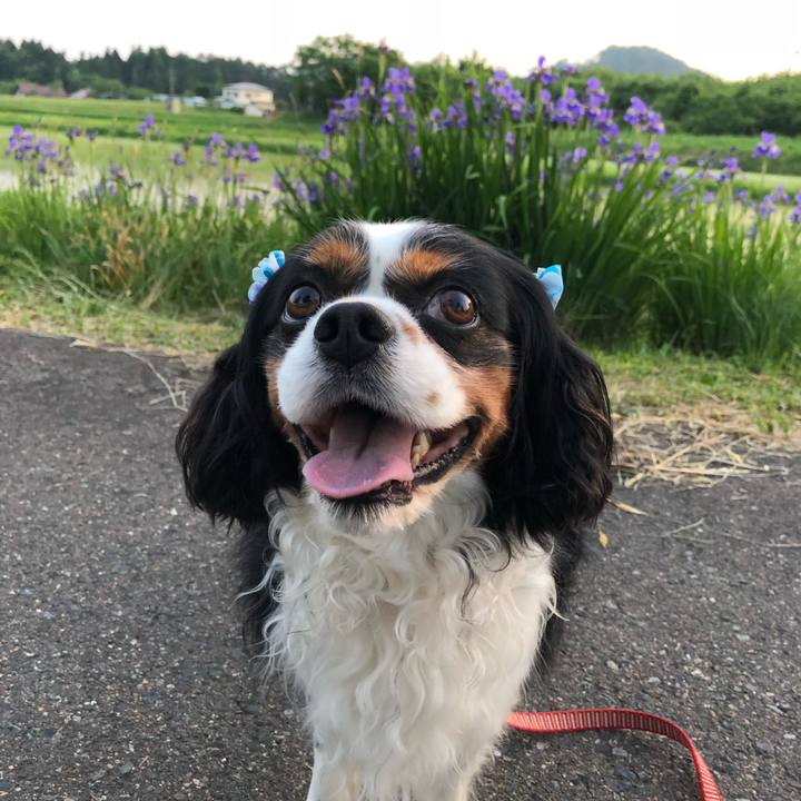 A35bc048 01e8 489c b1c6 2bba138c7fc3 1528168427043