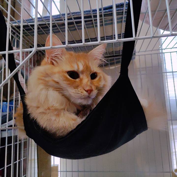 A35bcc75 9bec 4122 b745 371dbf67fd87 1693176869271