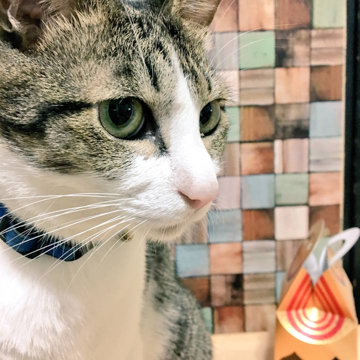 A35bd196 e238 4e6e 845a 74f67655d2df 1539690457956