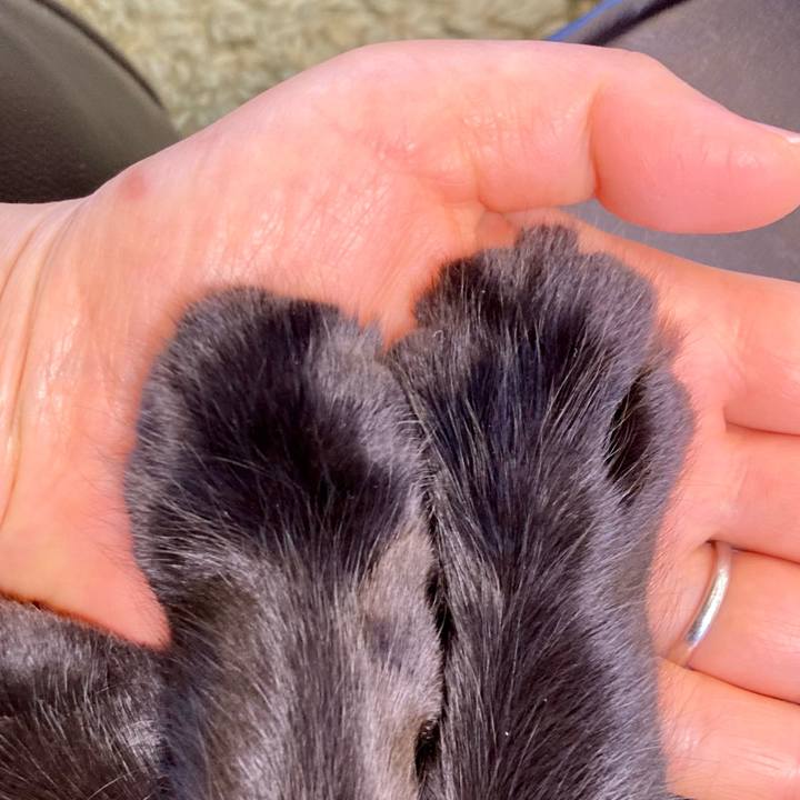 A35bd829 b823 46fa 84d1 0aa252203039 1706421476381