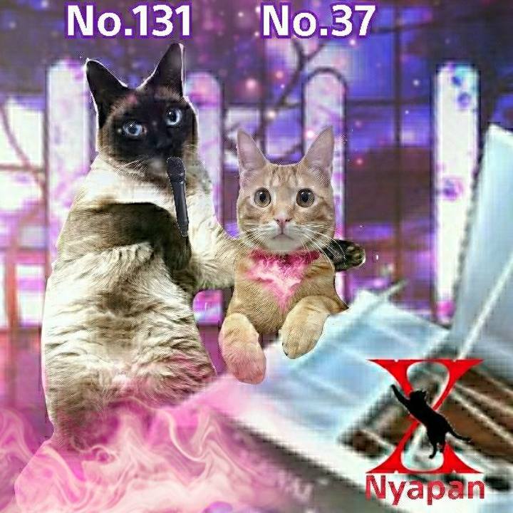 A35be0dd a9c5 4027 b2c9 ab334af1e70d 1529757230509