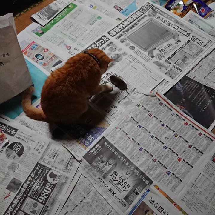 A35bf677 8802 481e 9e18 fea0d98a1bc0 1574545836660