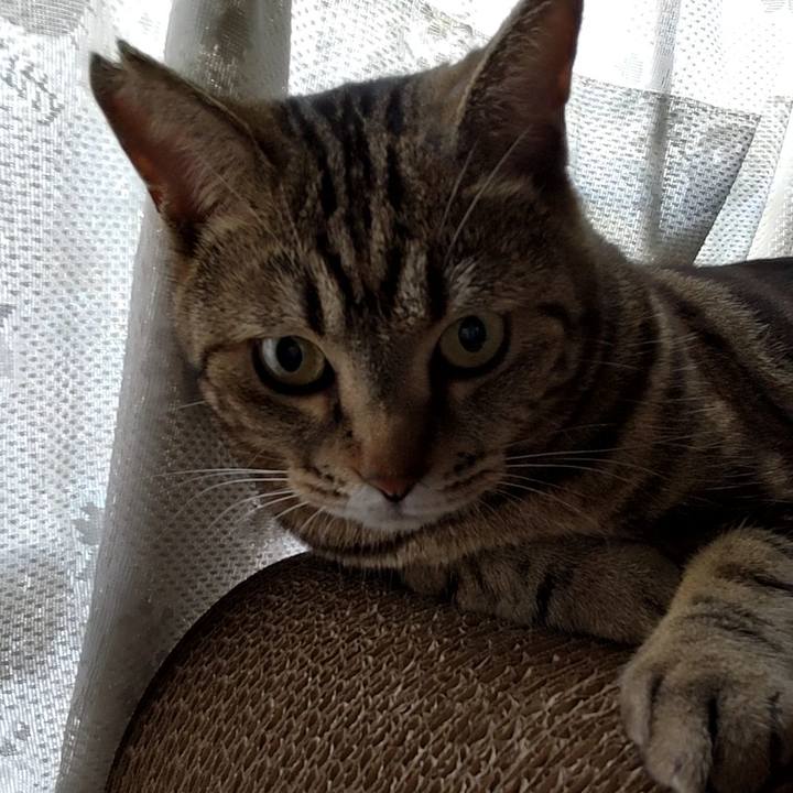 A35c1557 3e80 413f b3d2 b49fa1d9345a 1721704888018