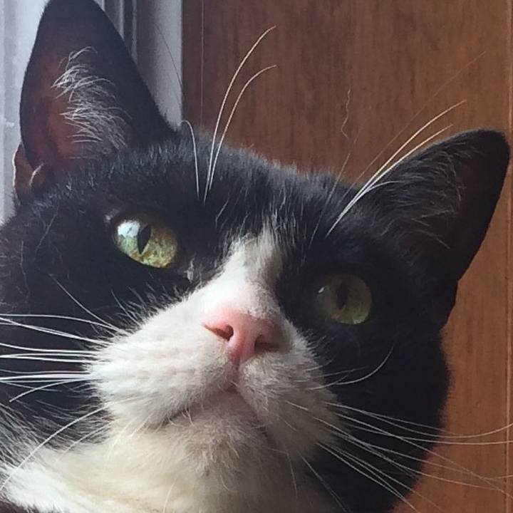 A35c3c3b e8e9 454e b673 70940451ed0f 1535757815280