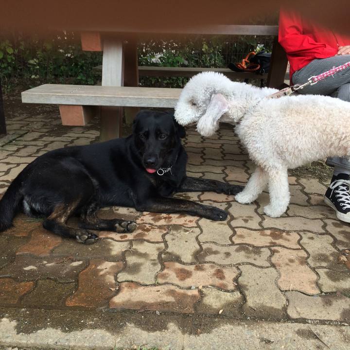 A35c8eb9 65a9 4130 b00c b948db51ae90 1537754658202