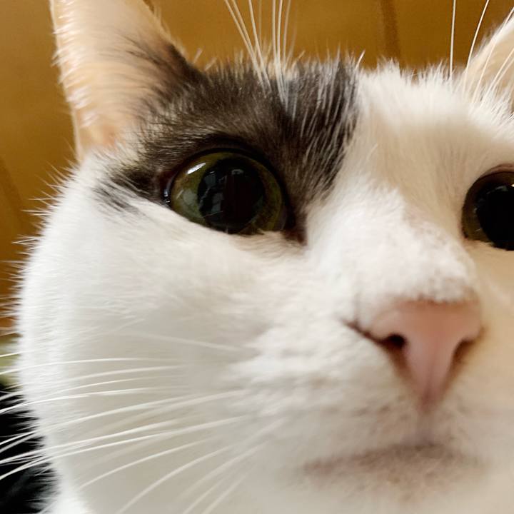 A35ca15e a3d0 4534 bc85 349c833d920d 1541813318696